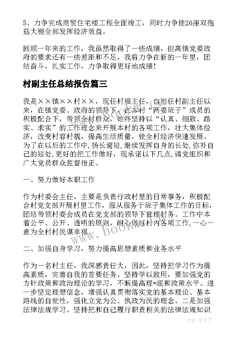 村副主任总结报告(精选5篇)