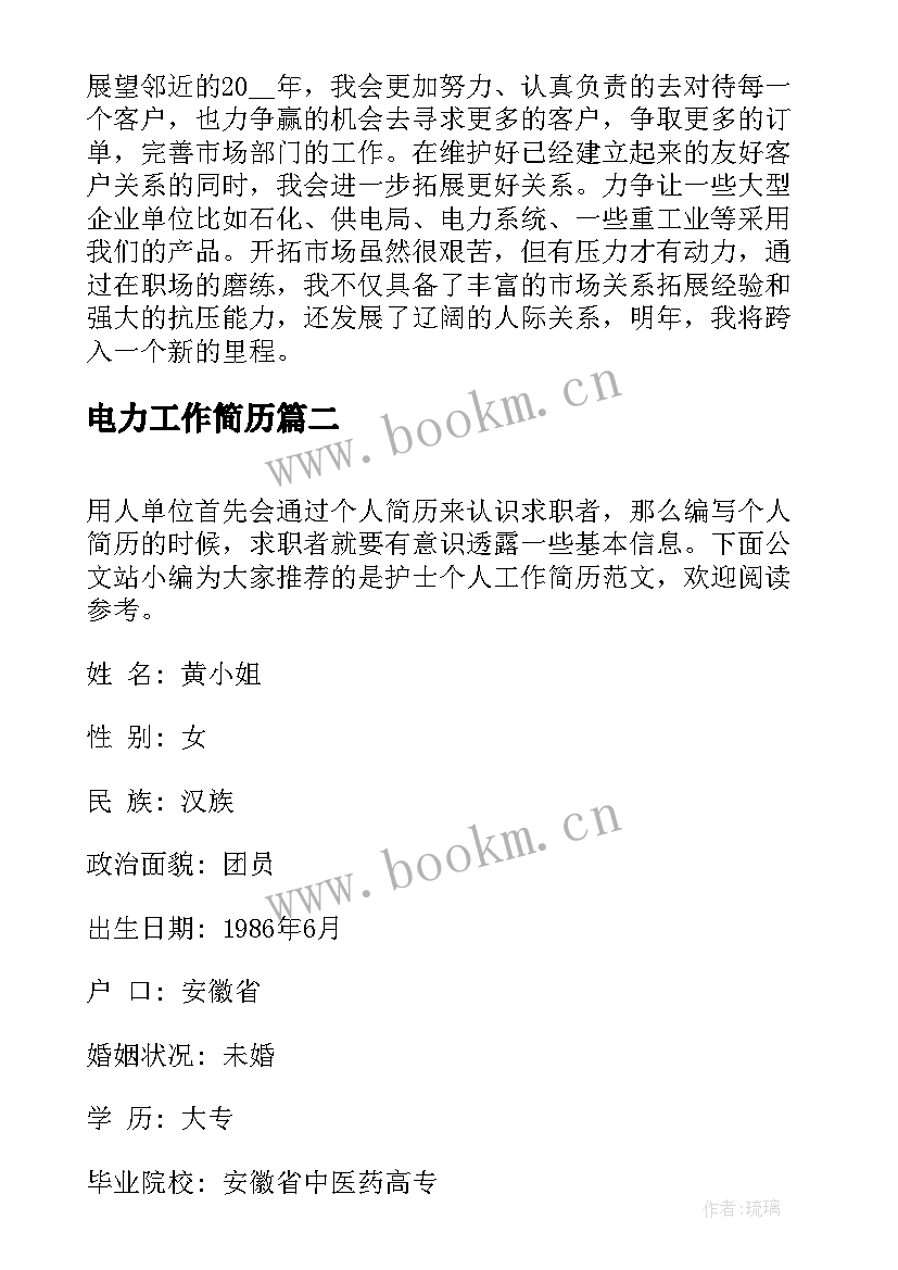 最新电力工作简历(精选10篇)