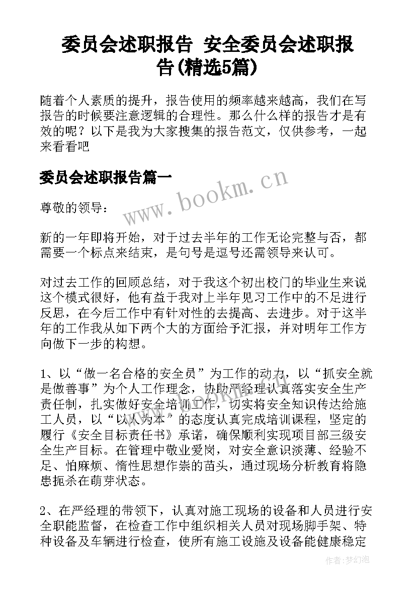 委员会述职报告 安全委员会述职报告(精选5篇)