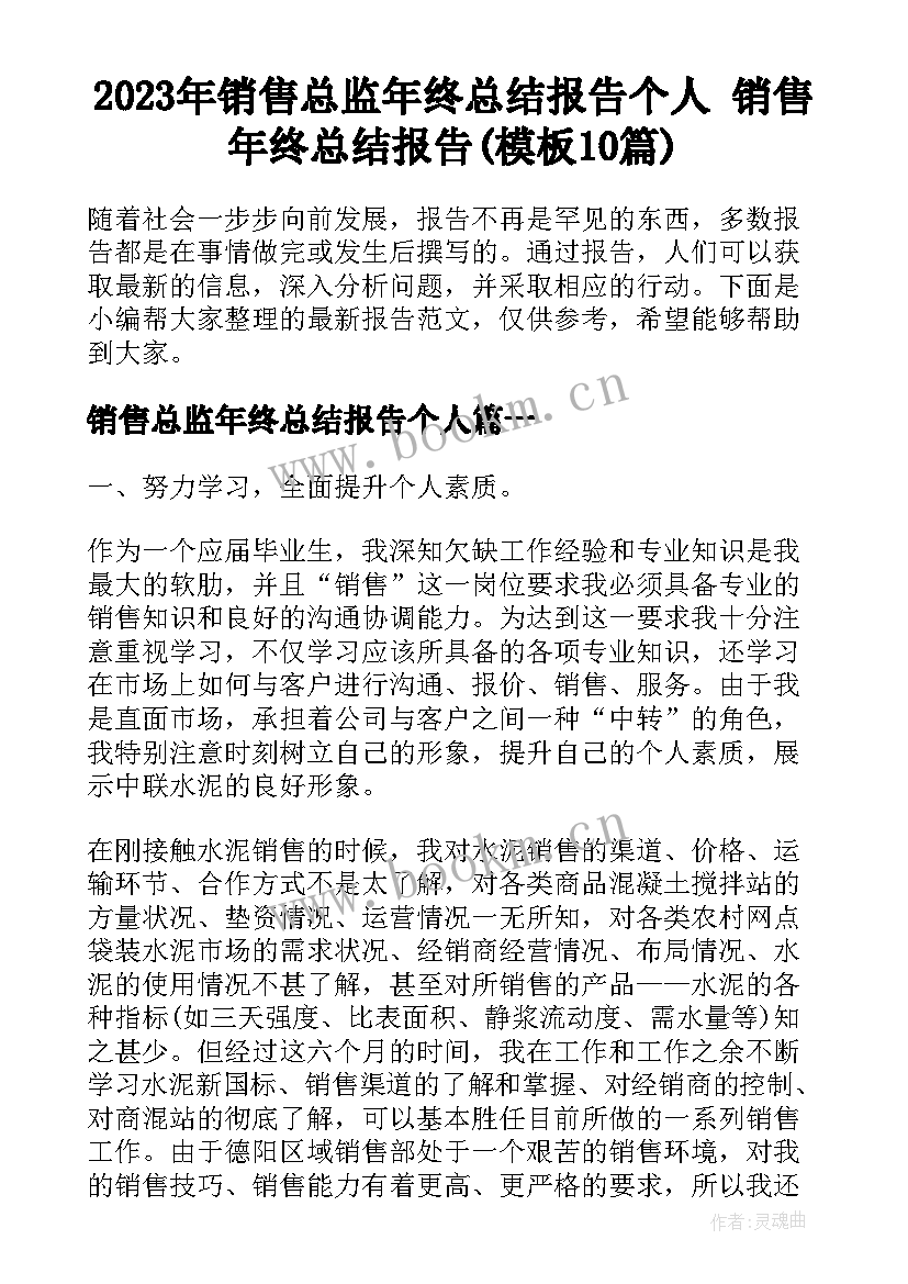 2023年销售总监年终总结报告个人 销售年终总结报告(模板10篇)