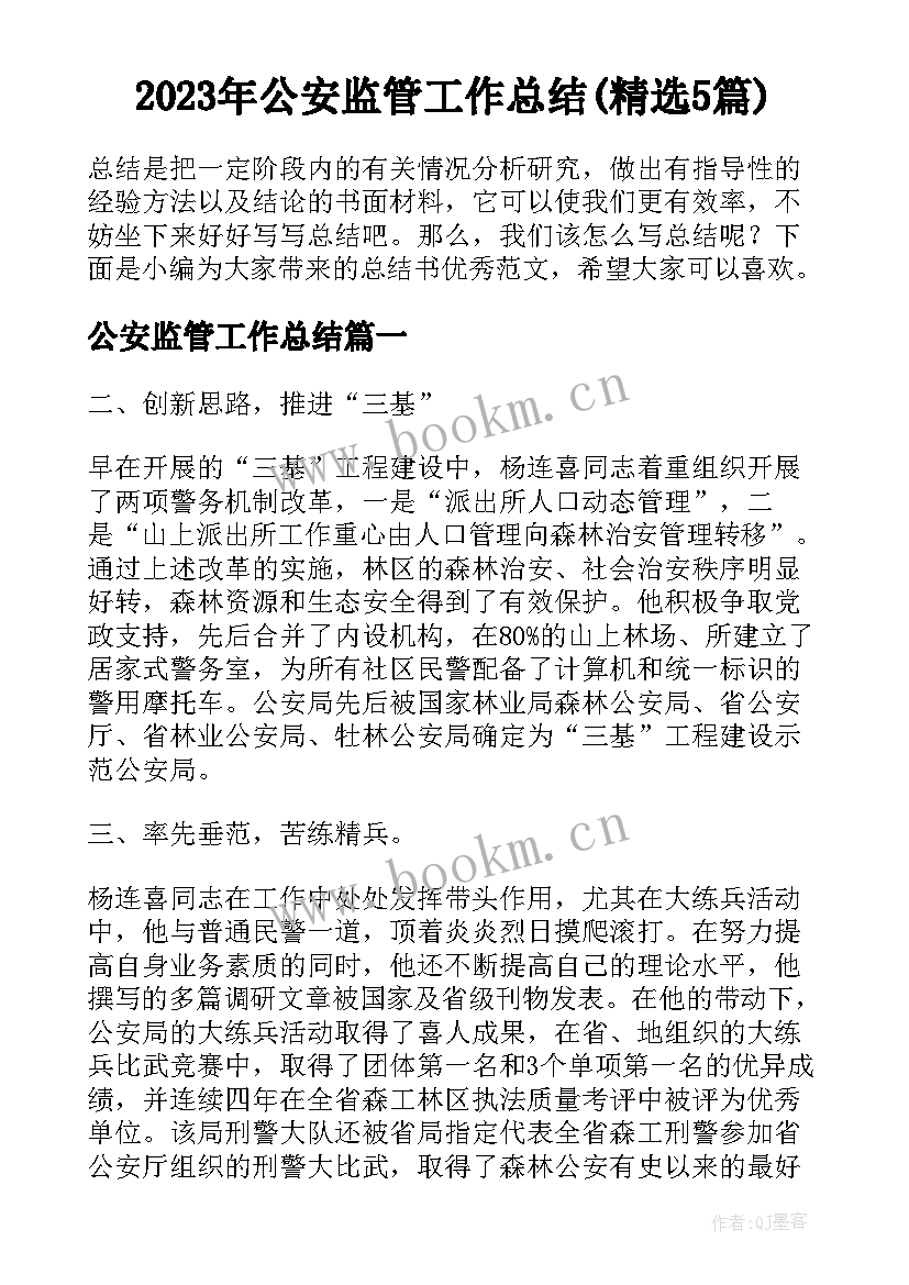 2023年公安监管工作总结(精选5篇)