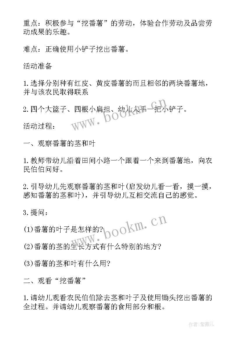 幼儿园活动设计方案大班塞船(优质5篇)