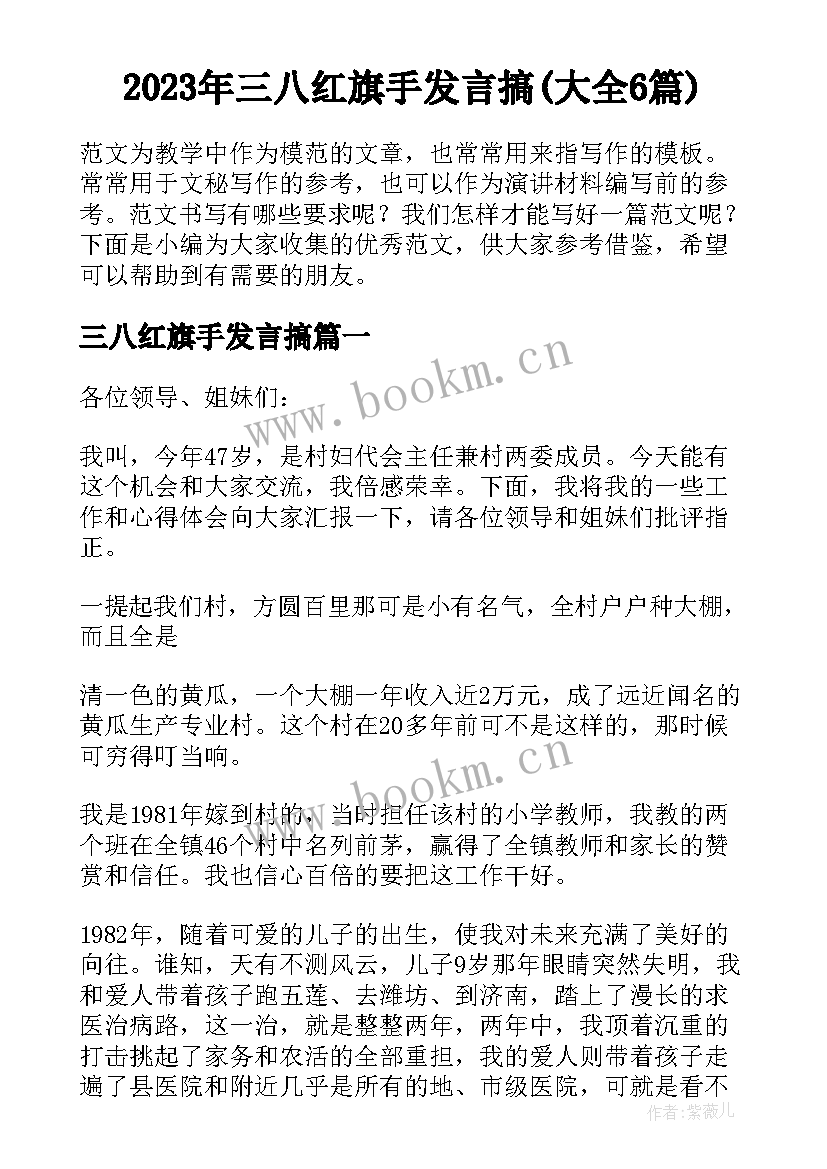 2023年三八红旗手发言搞(大全6篇)