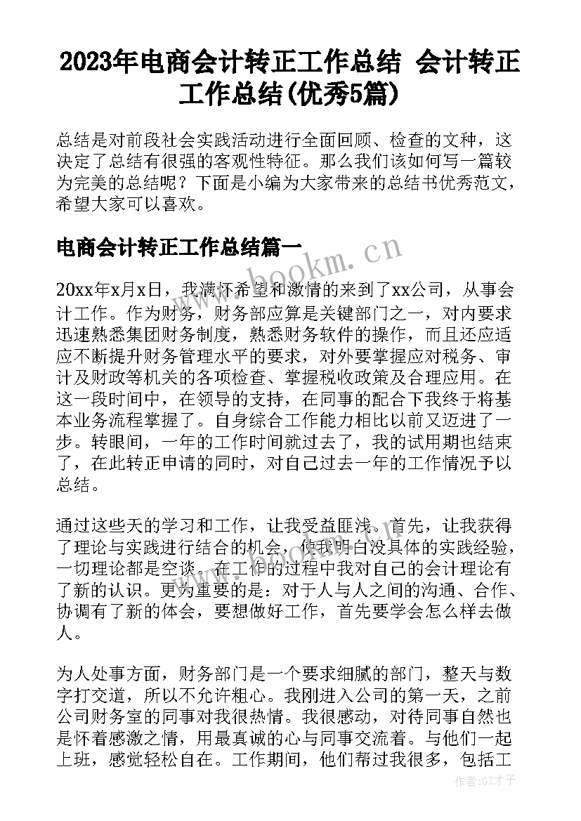 2023年电商会计转正工作总结 会计转正工作总结(优秀5篇)