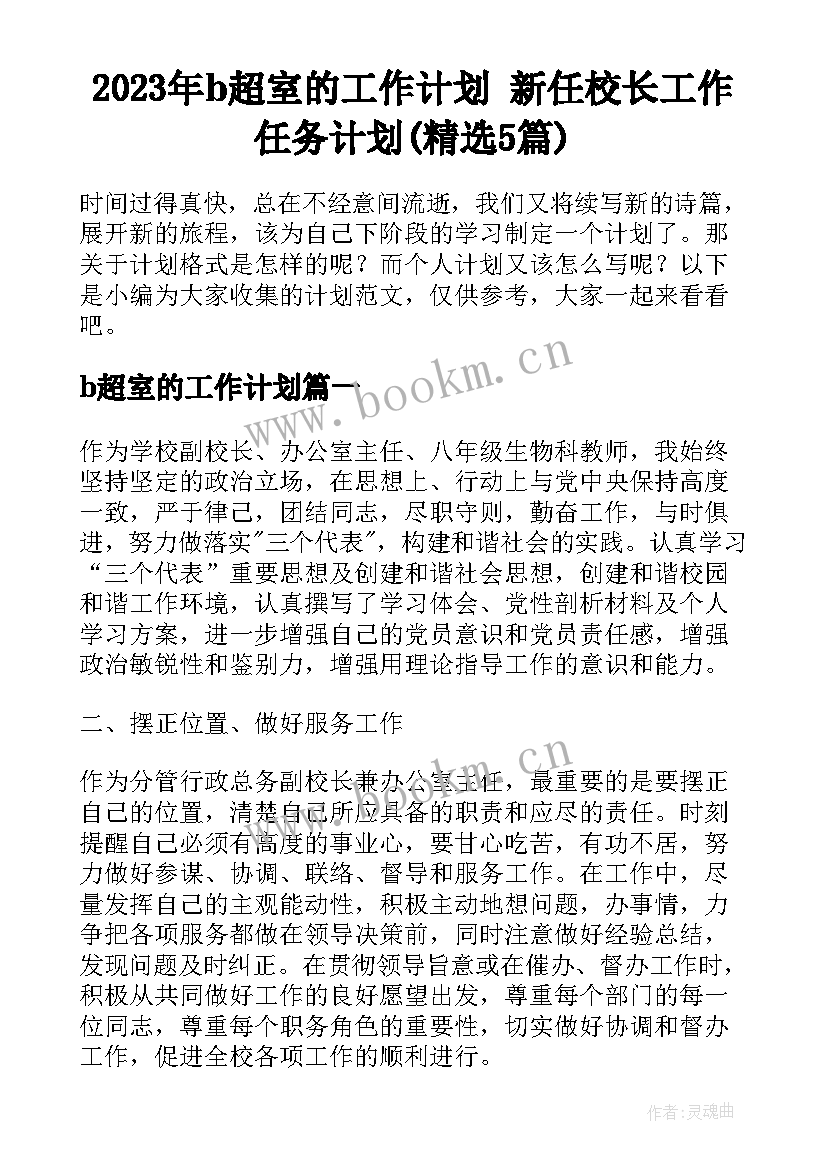 2023年b超室的工作计划 新任校长工作任务计划(精选5篇)