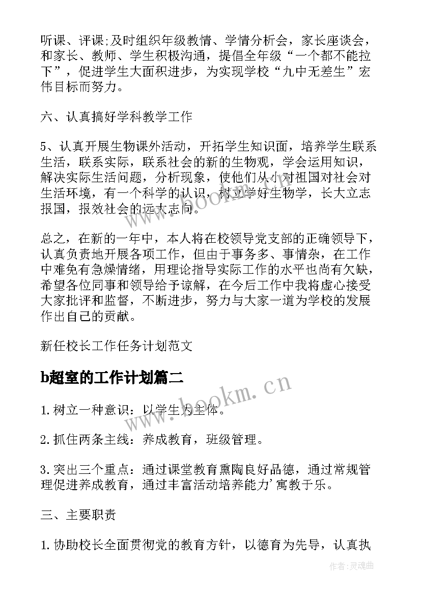 2023年b超室的工作计划 新任校长工作任务计划(精选5篇)