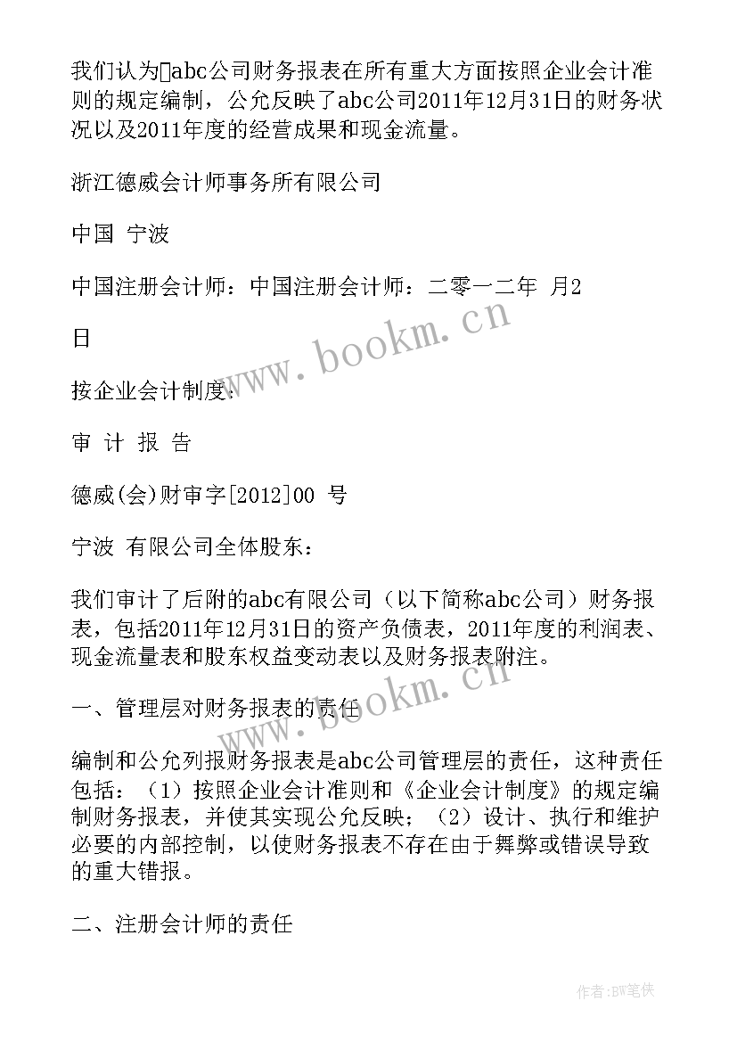 2023年审计报告与审计意见的关系(实用8篇)