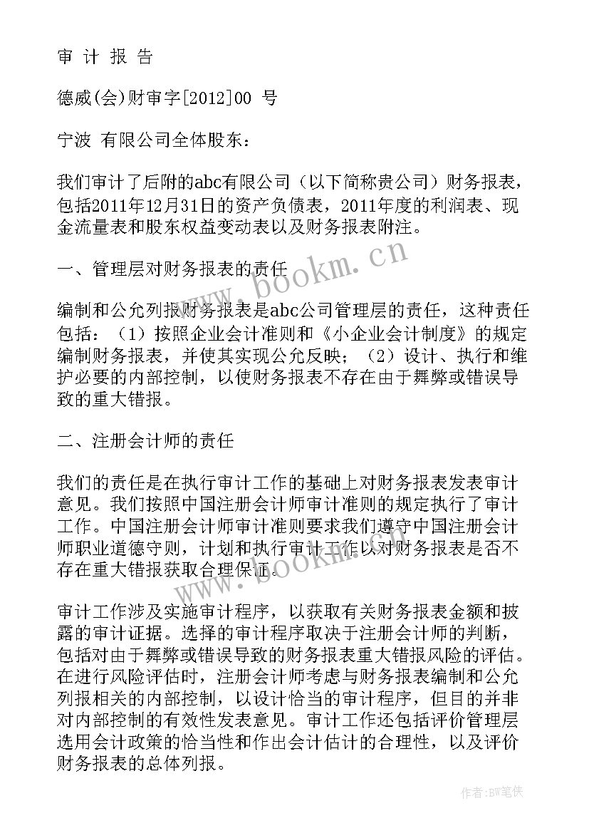 2023年审计报告与审计意见的关系(实用8篇)