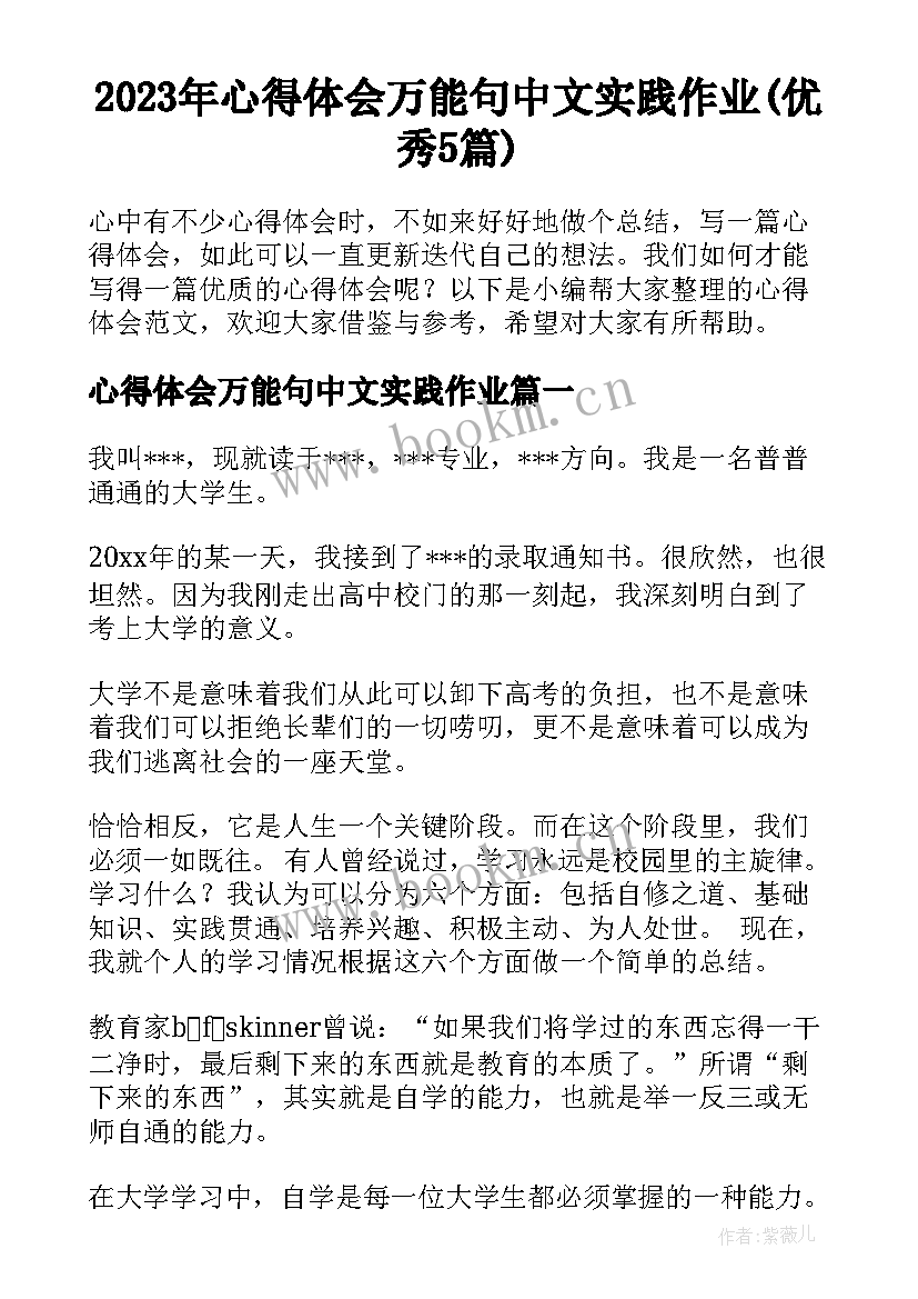 2023年心得体会万能句中文实践作业(优秀5篇)