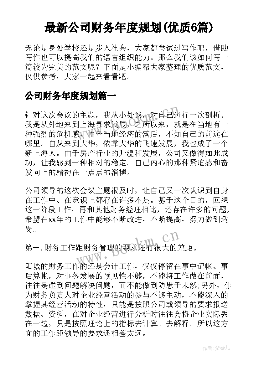 最新公司财务年度规划(优质6篇)