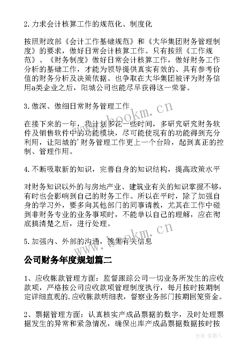 最新公司财务年度规划(优质6篇)