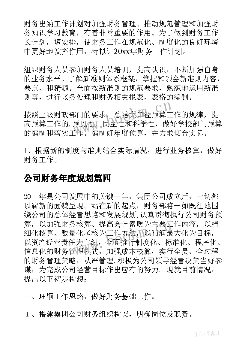 最新公司财务年度规划(优质6篇)