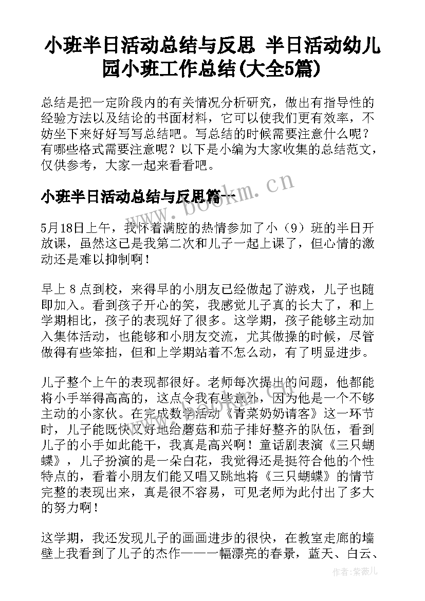 小班半日活动总结与反思 半日活动幼儿园小班工作总结(大全5篇)