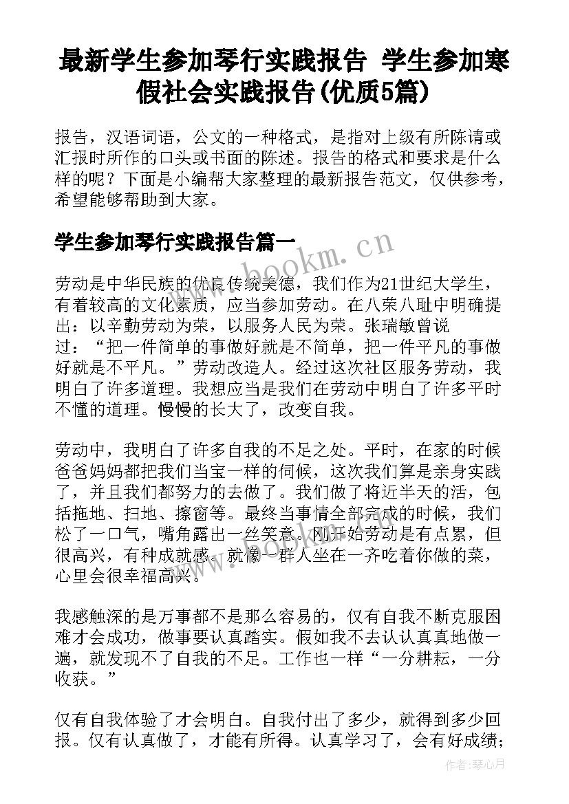 最新学生参加琴行实践报告 学生参加寒假社会实践报告(优质5篇)