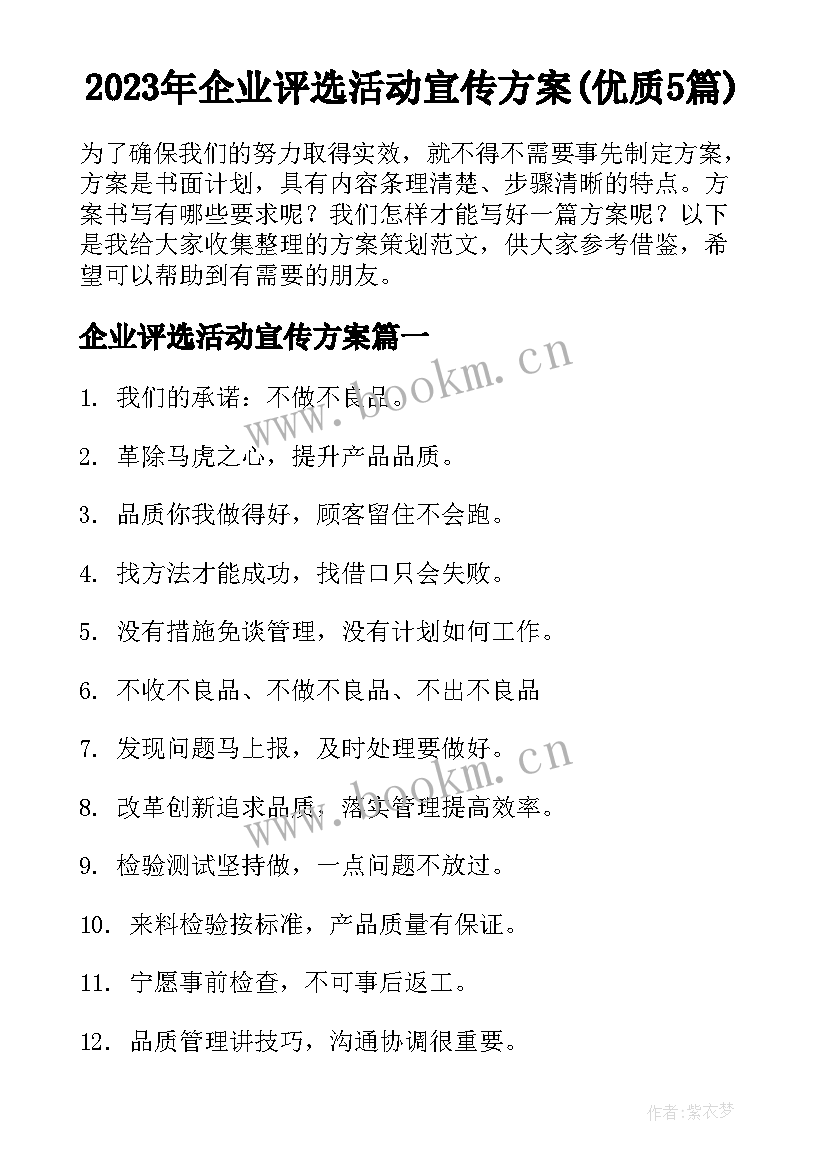 2023年企业评选活动宣传方案(优质5篇)