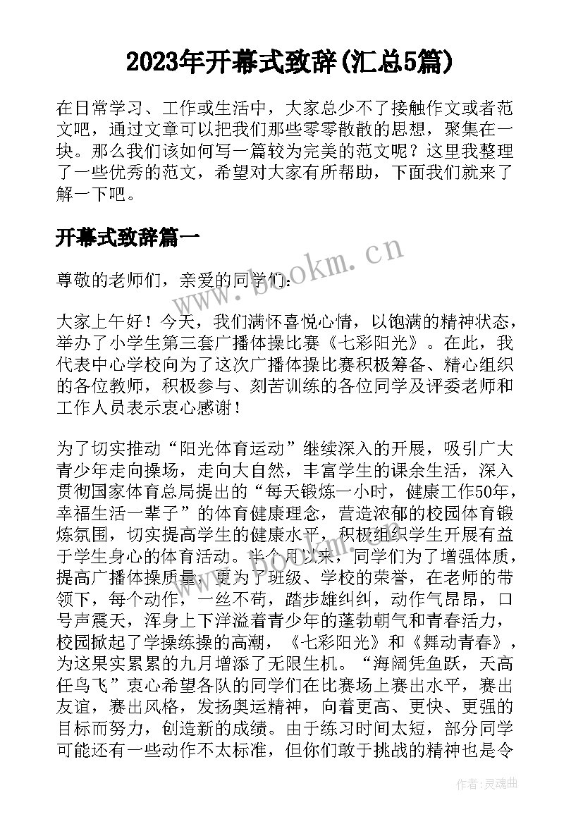 2023年开幕式致辞(汇总5篇)