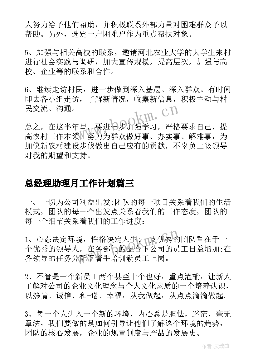 总经理助理月工作计划 经理助理工作计划(精选6篇)