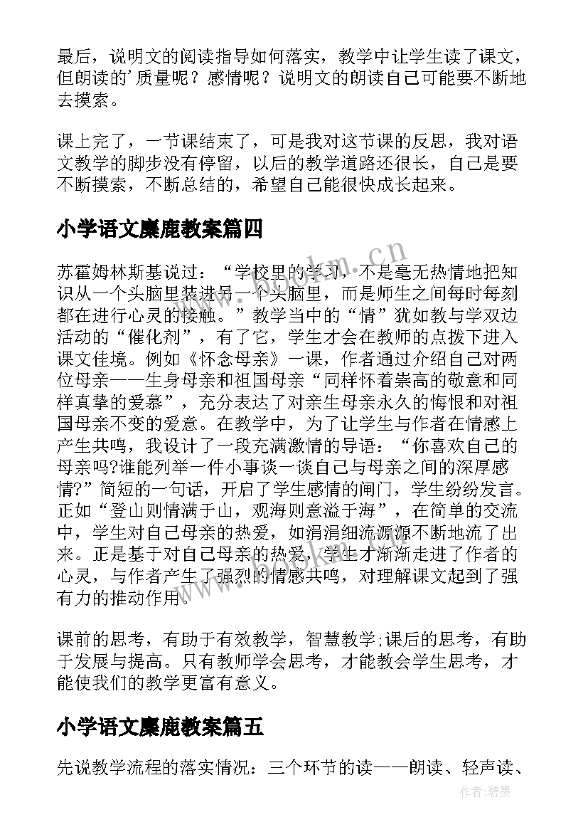 小学语文麋鹿教案 六年级麋鹿教学反思(优秀5篇)