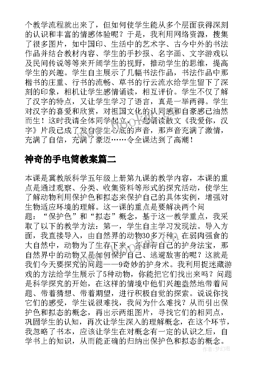 最新神奇的手电筒教案(精选9篇)