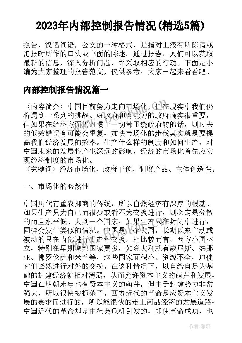 2023年内部控制报告情况(精选5篇)