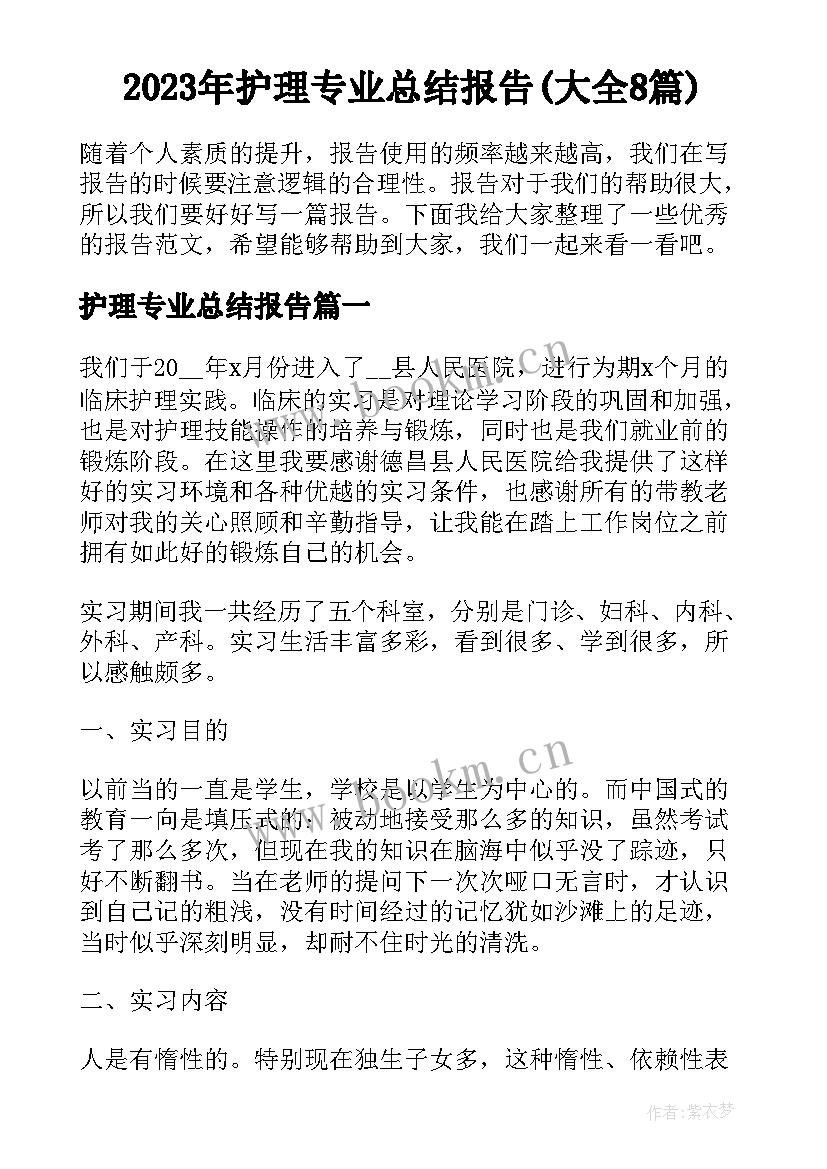 2023年护理专业总结报告(大全8篇)