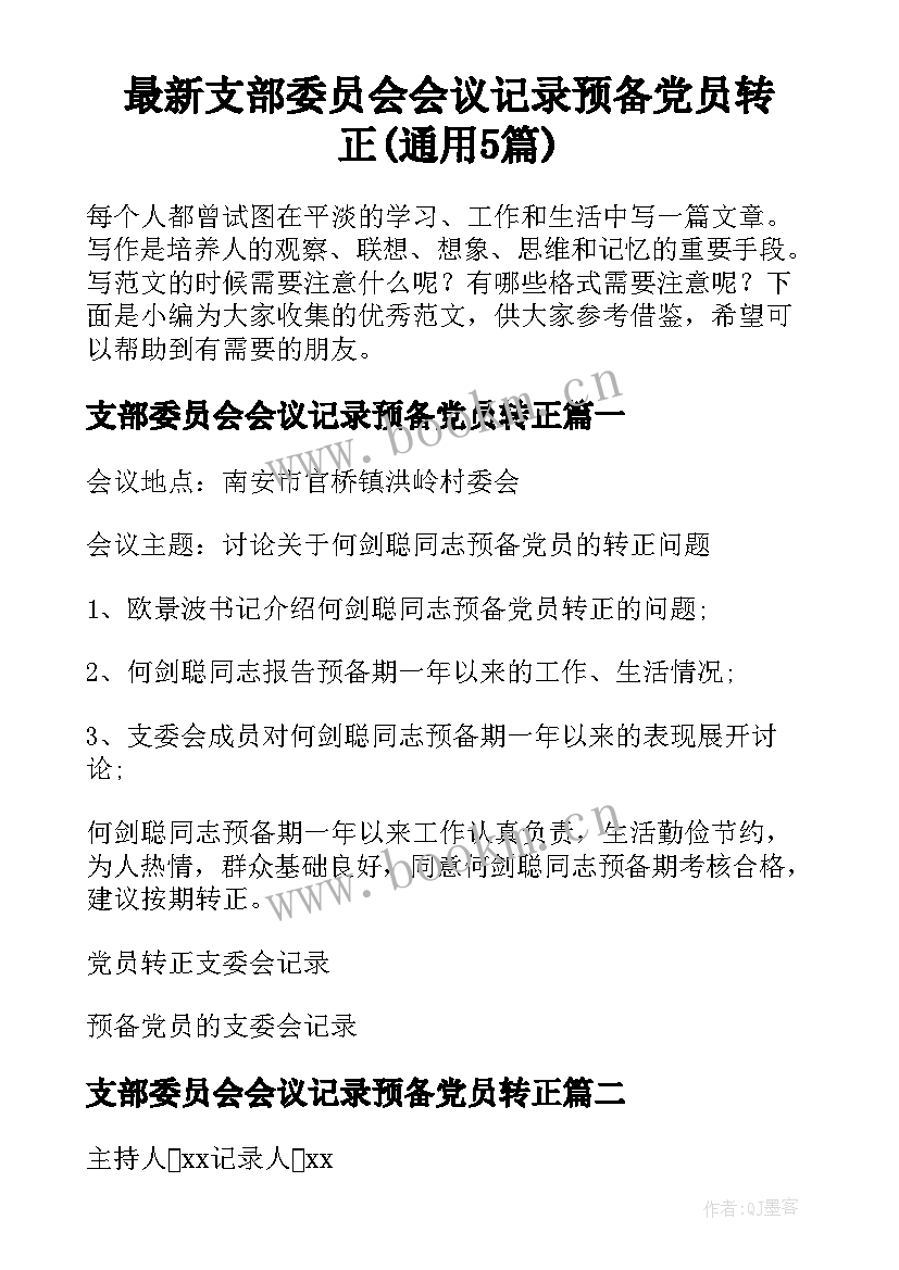 最新支部委员会会议记录预备党员转正(通用5篇)