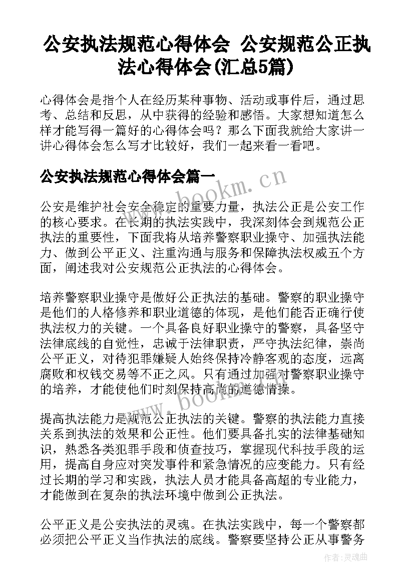 公安执法规范心得体会 公安规范公正执法心得体会(汇总5篇)