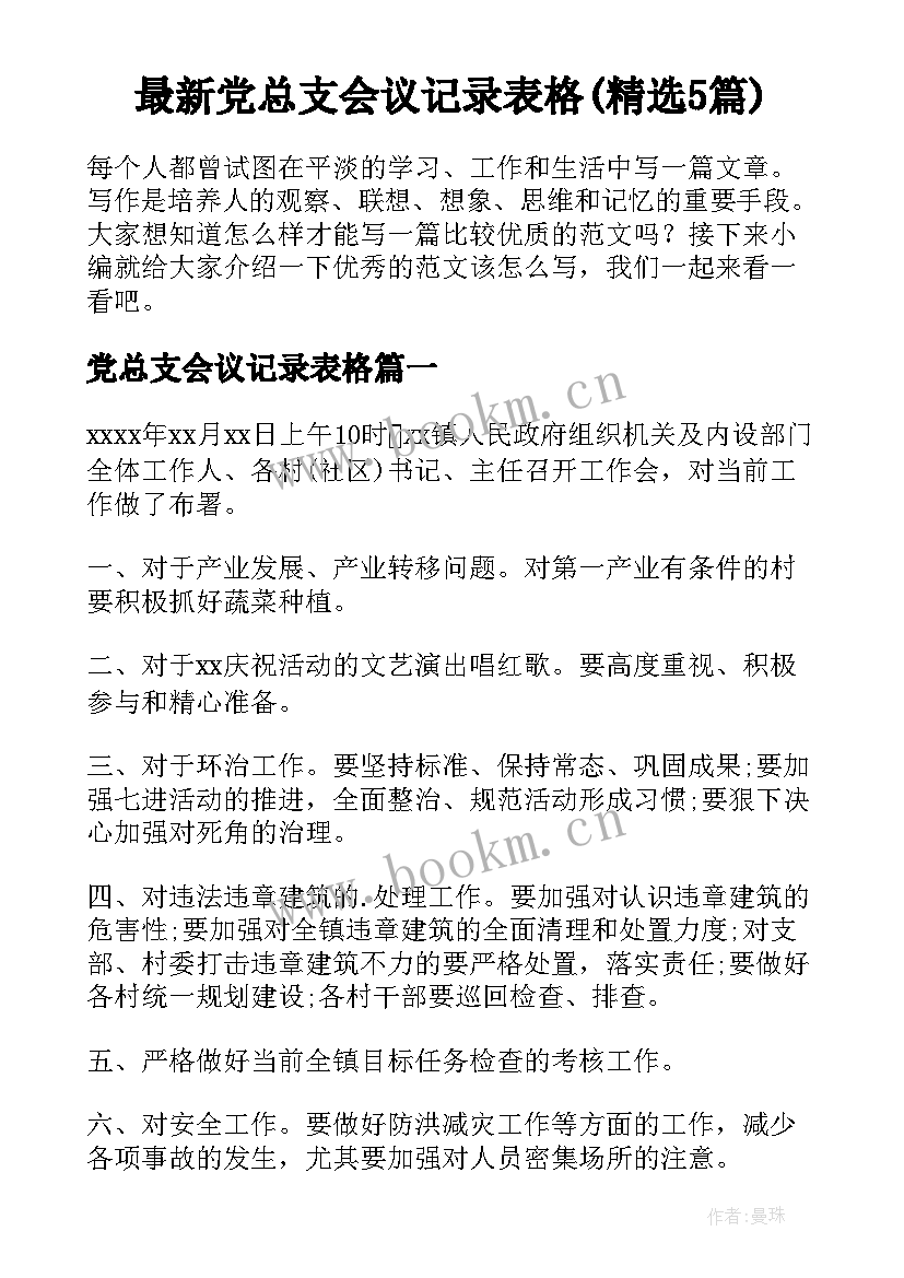 最新党总支会议记录表格(精选5篇)