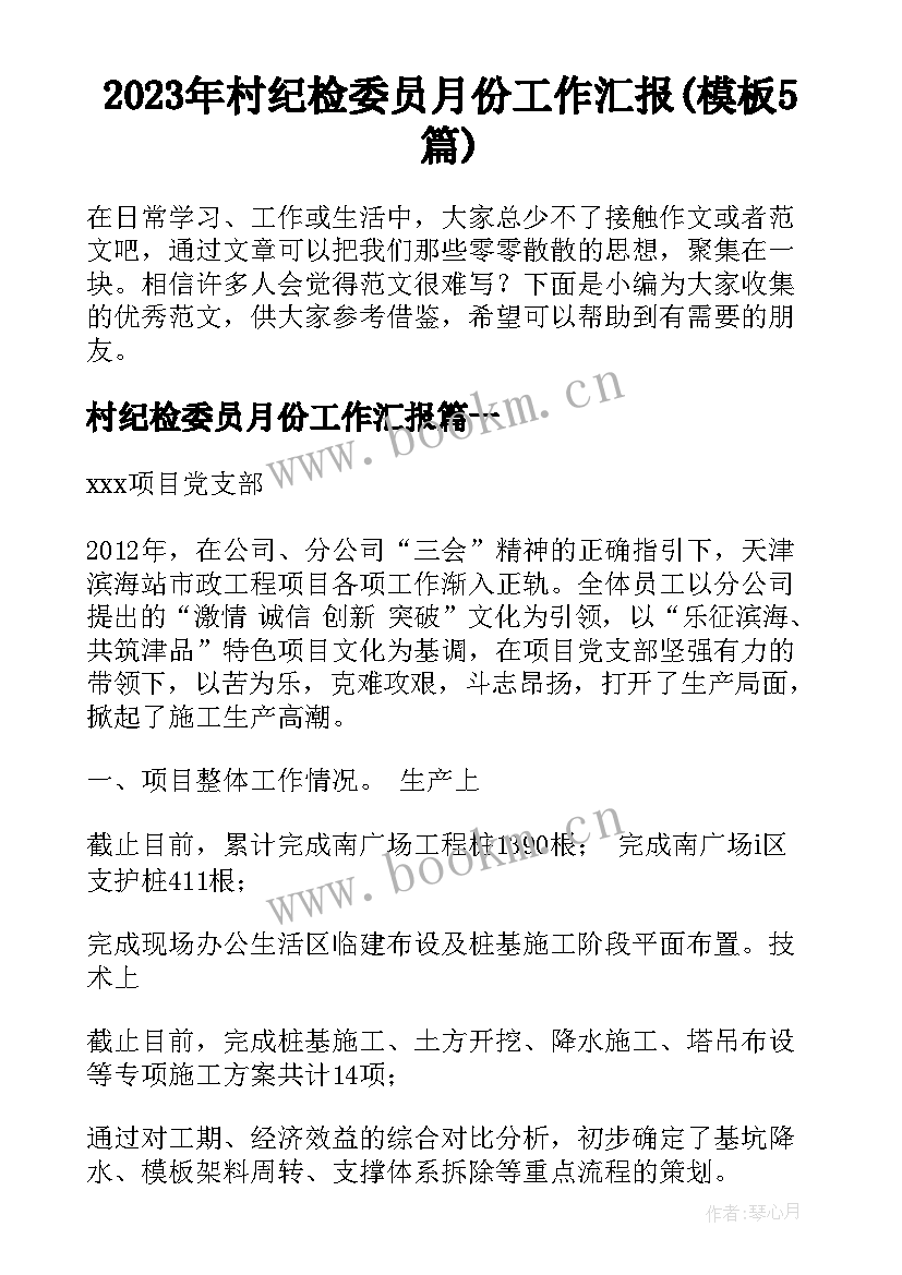 2023年村纪检委员月份工作汇报(模板5篇)