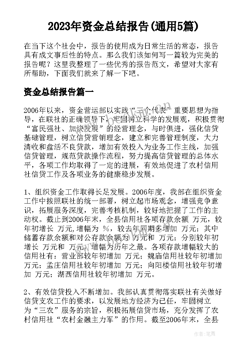 2023年资金总结报告(通用5篇)