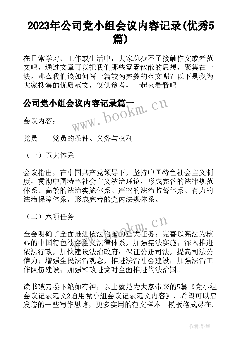 2023年公司党小组会议内容记录(优秀5篇)