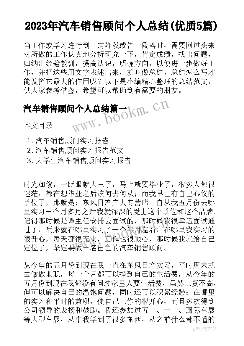 2023年汽车销售顾问个人总结(优质5篇)