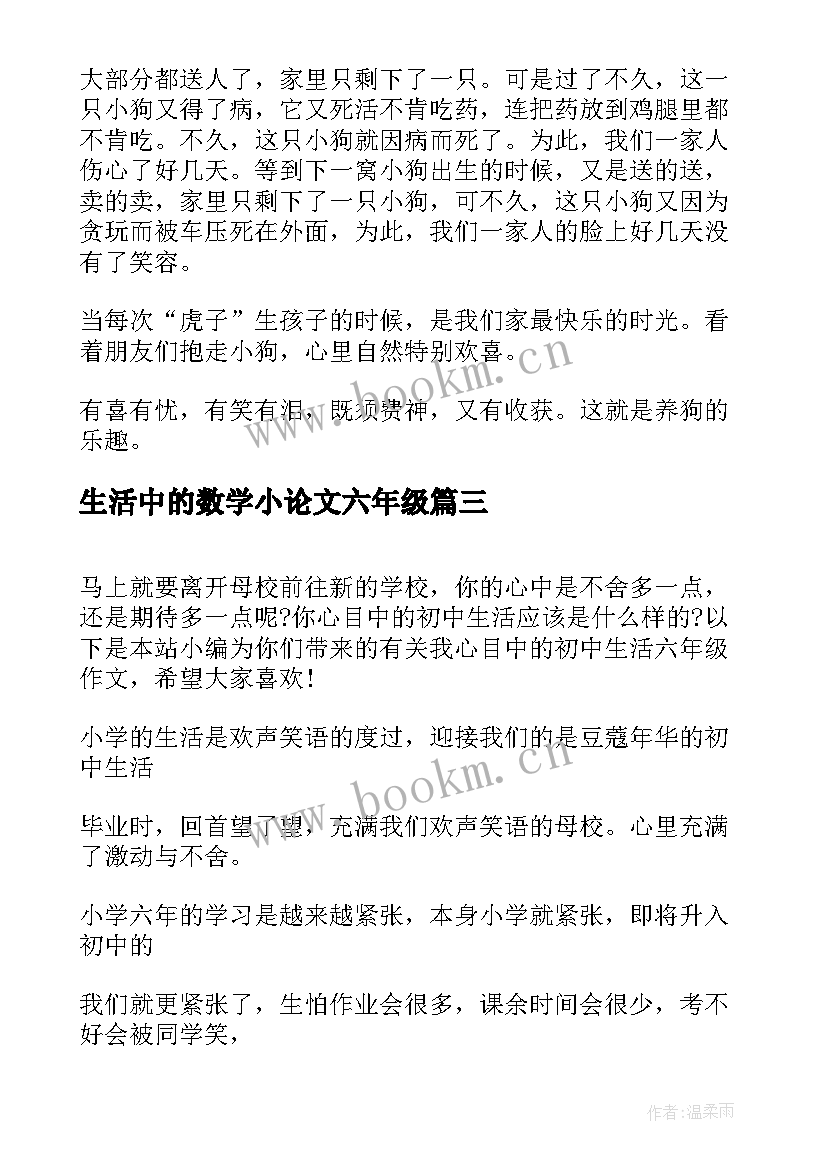 2023年生活中的数学小论文六年级(大全9篇)