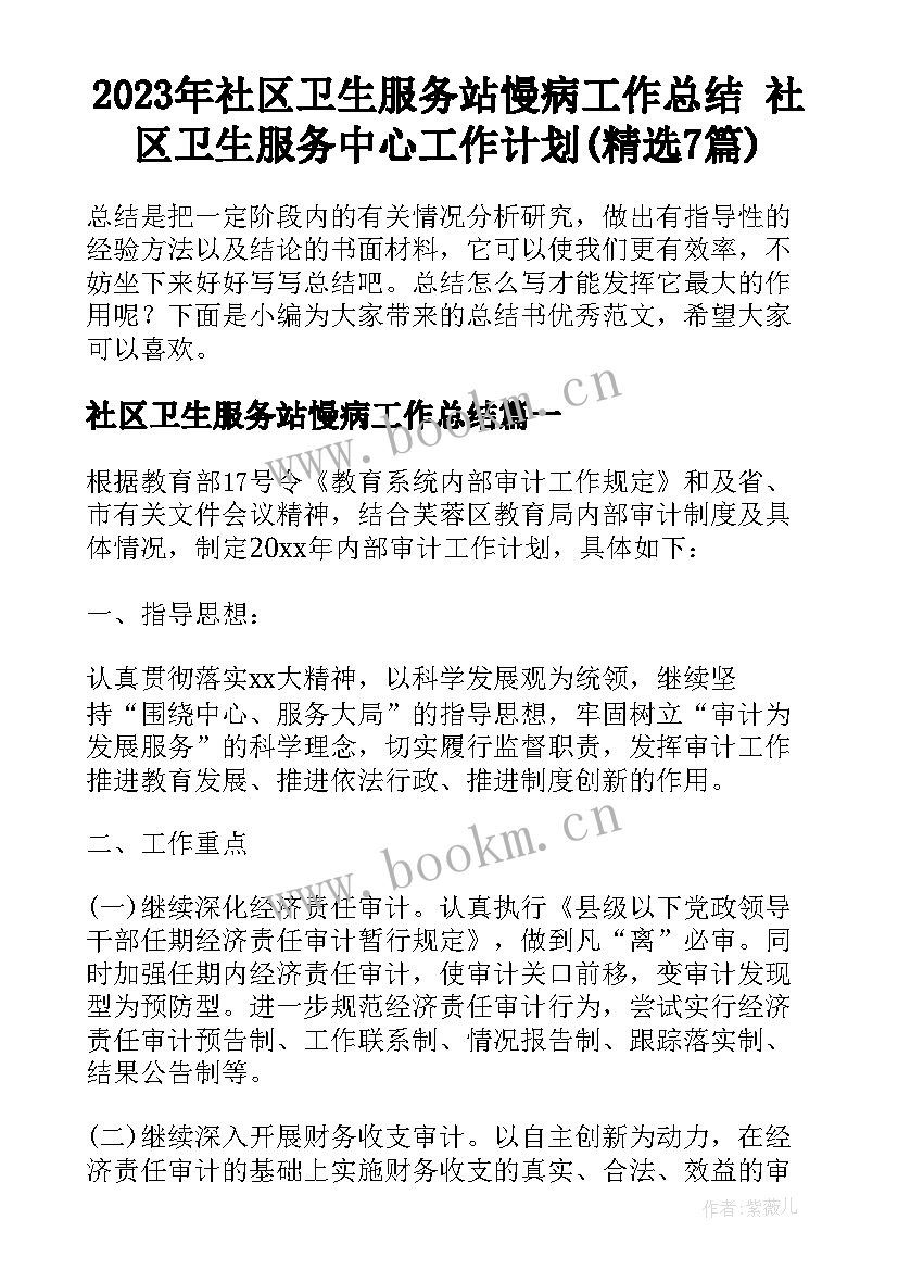 2023年社区卫生服务站慢病工作总结 社区卫生服务中心工作计划(精选7篇)