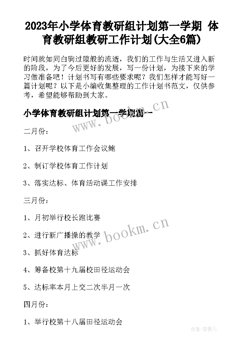 2023年小学体育教研组计划第一学期 体育教研组教研工作计划(大全6篇)