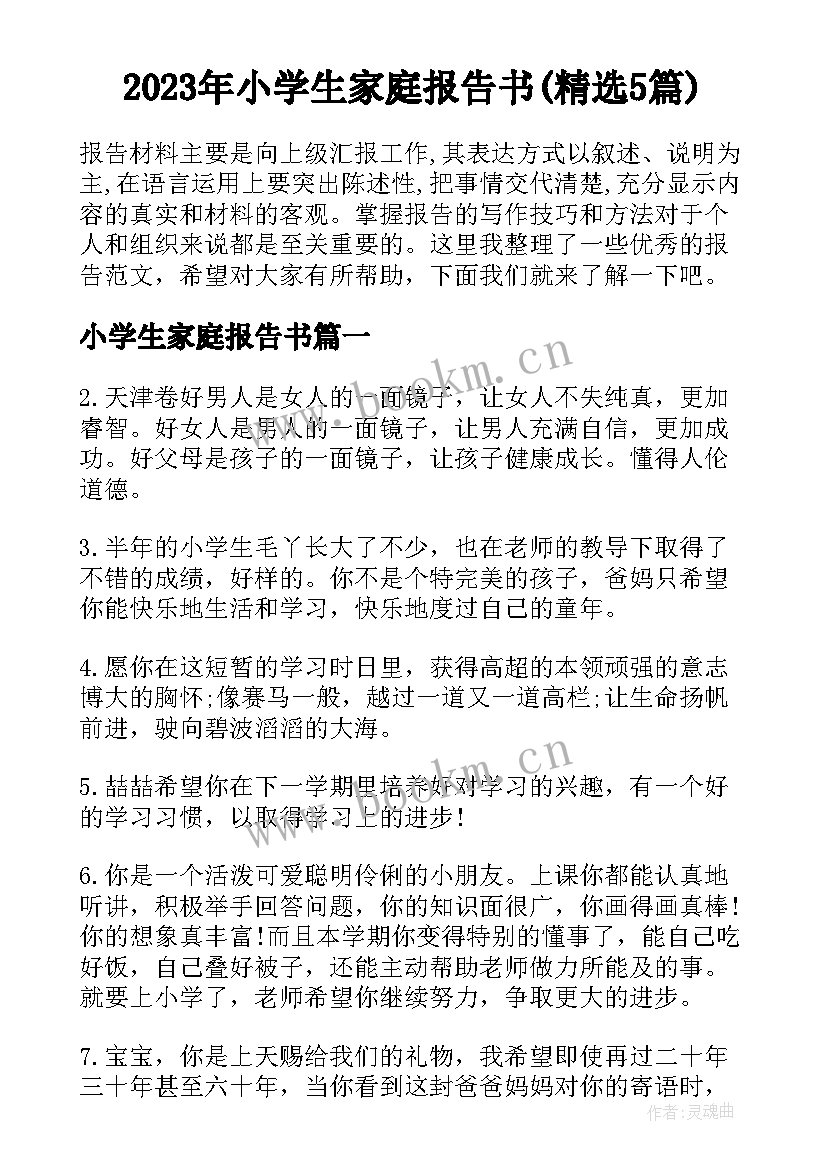 2023年小学生家庭报告书(精选5篇)