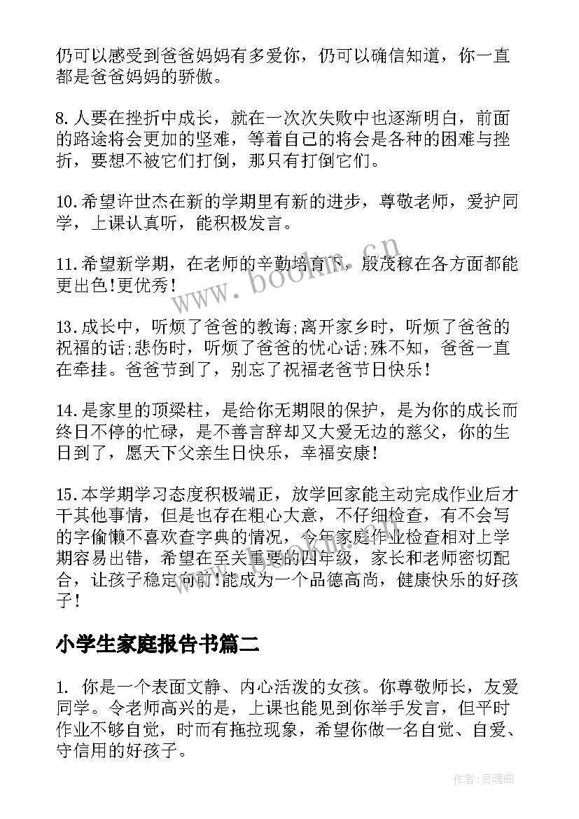 2023年小学生家庭报告书(精选5篇)