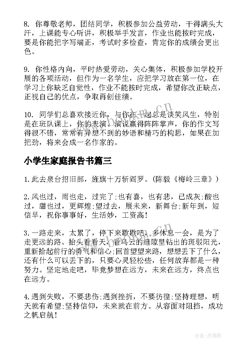 2023年小学生家庭报告书(精选5篇)