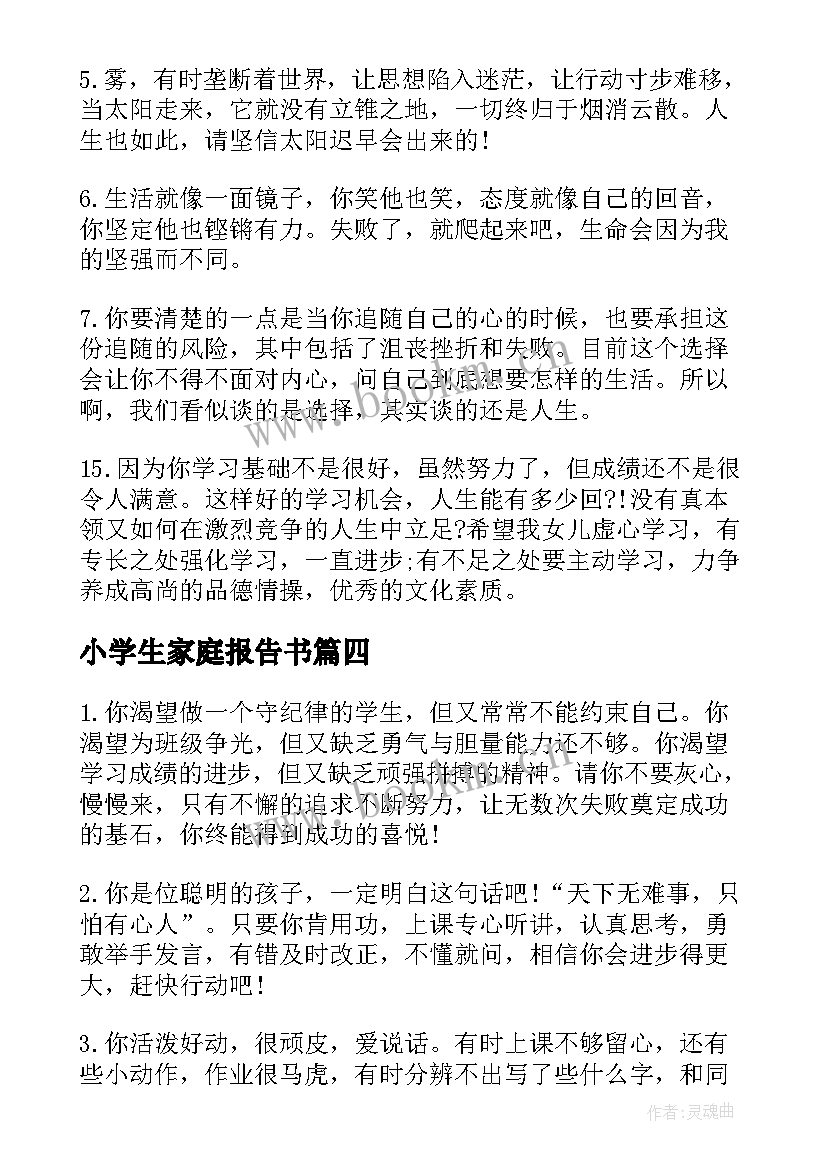 2023年小学生家庭报告书(精选5篇)