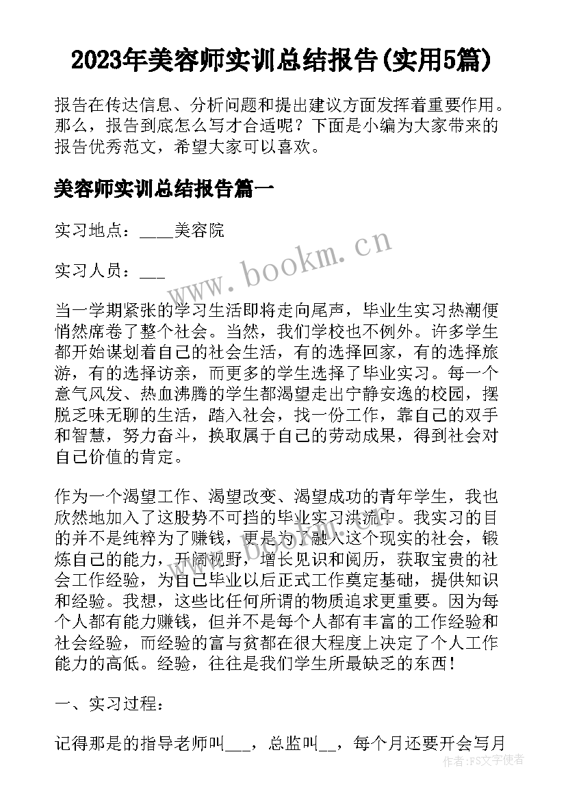 2023年美容师实训总结报告(实用5篇)