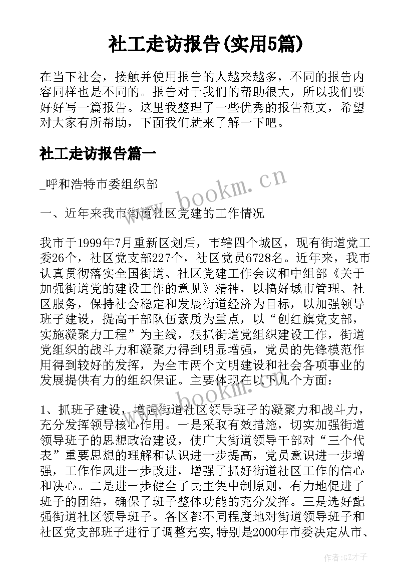 社工走访报告(实用5篇)