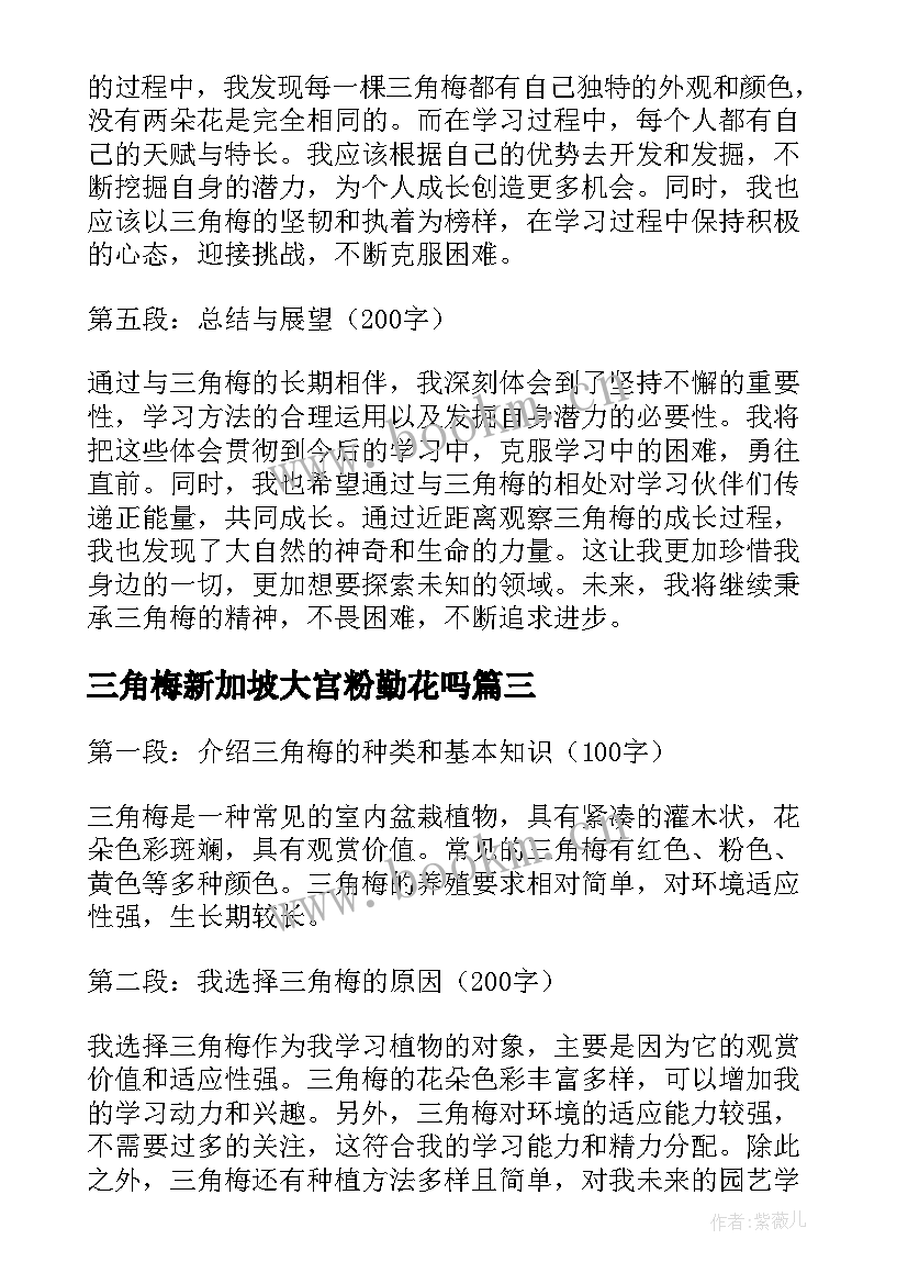 2023年三角梅新加坡大宫粉勤花吗 三角地读书心得体会(模板5篇)