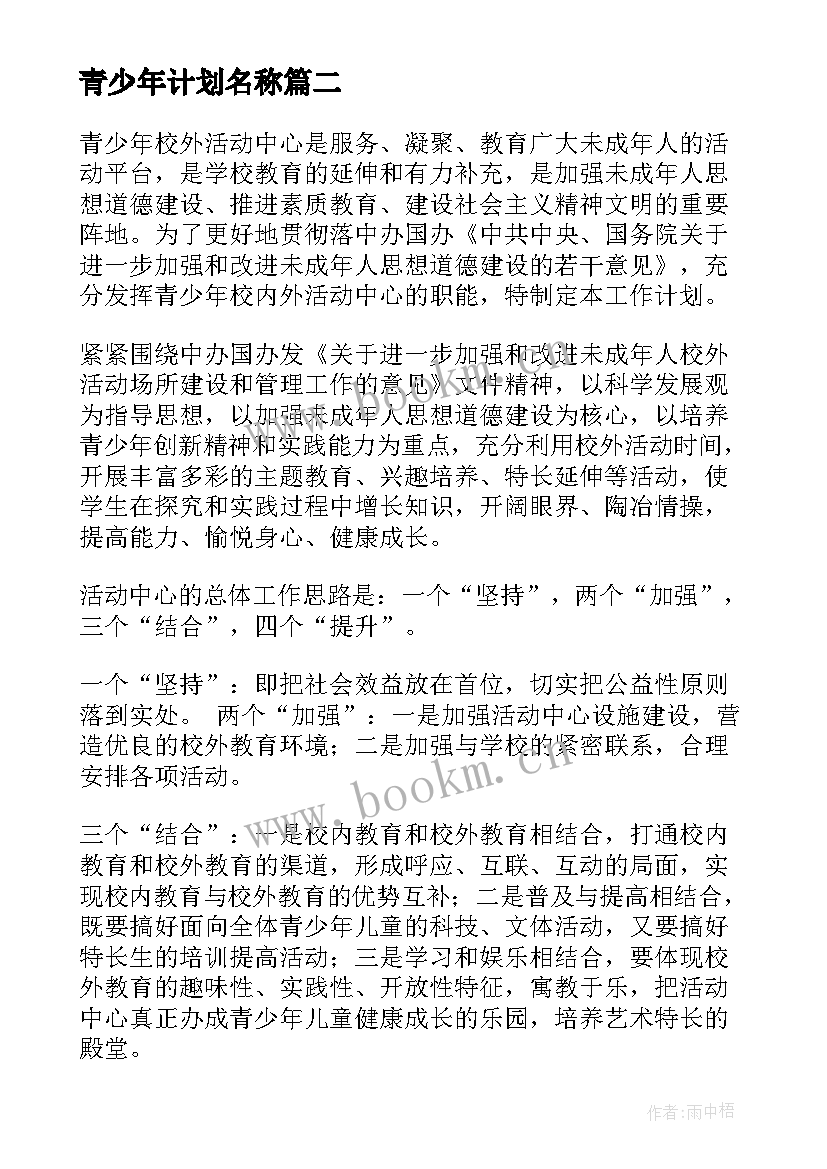 最新青少年计划名称 青少年工作计划(通用5篇)