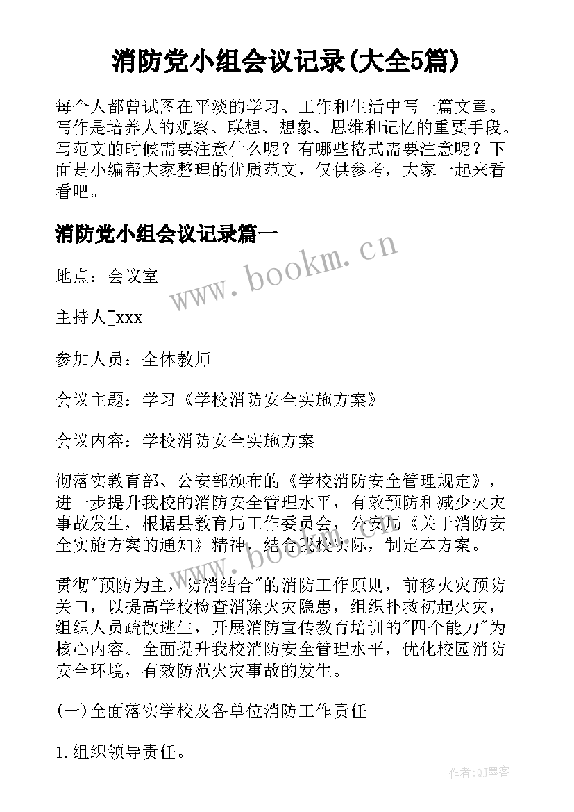 消防党小组会议记录(大全5篇)