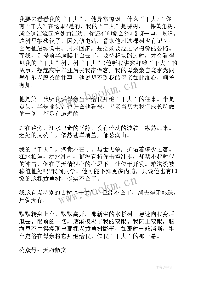 美发实训心得体会(优秀5篇)