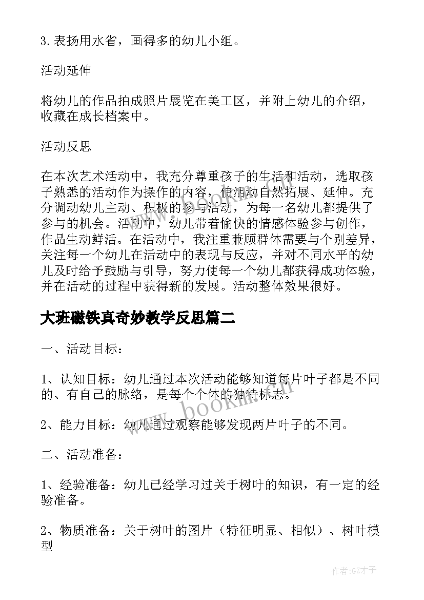 大班磁铁真奇妙教学反思(模板5篇)