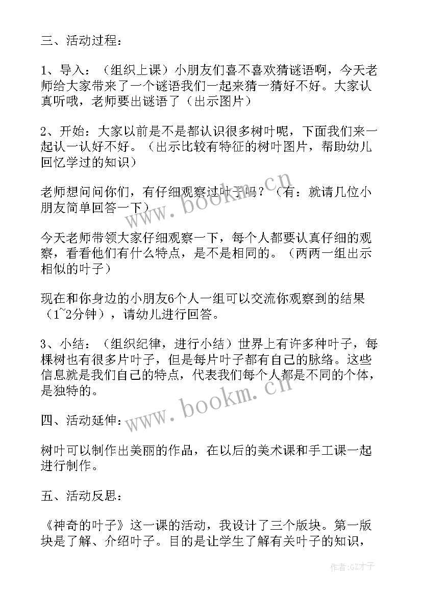 大班磁铁真奇妙教学反思(模板5篇)