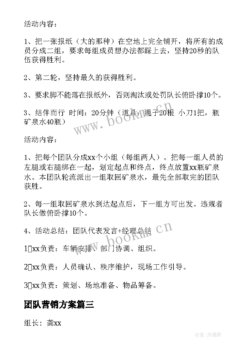 最新团队营销方案 团队活动方案(大全6篇)