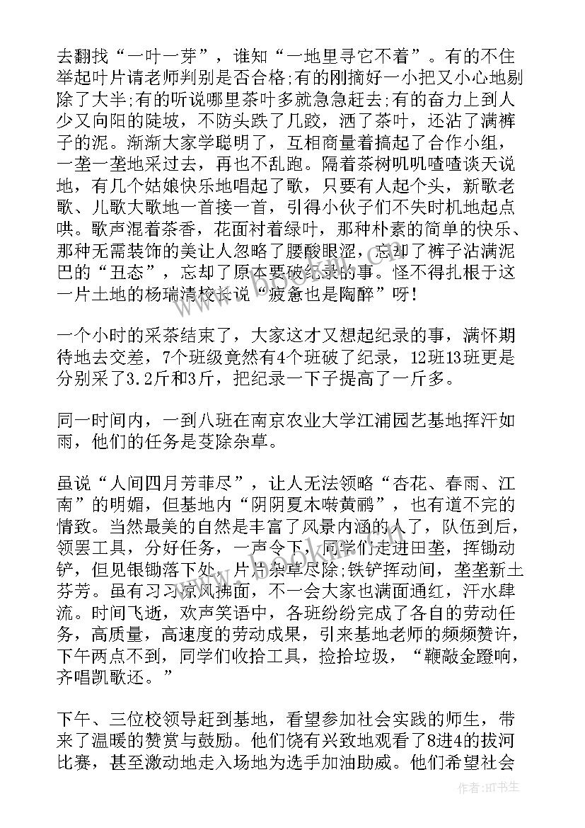 最新高中生实践调查报告(通用9篇)