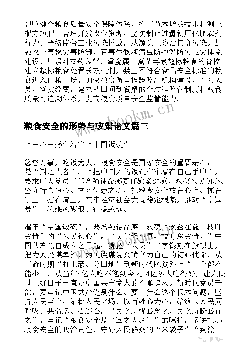 2023年粮食安全的形势与政策论文(模板6篇)